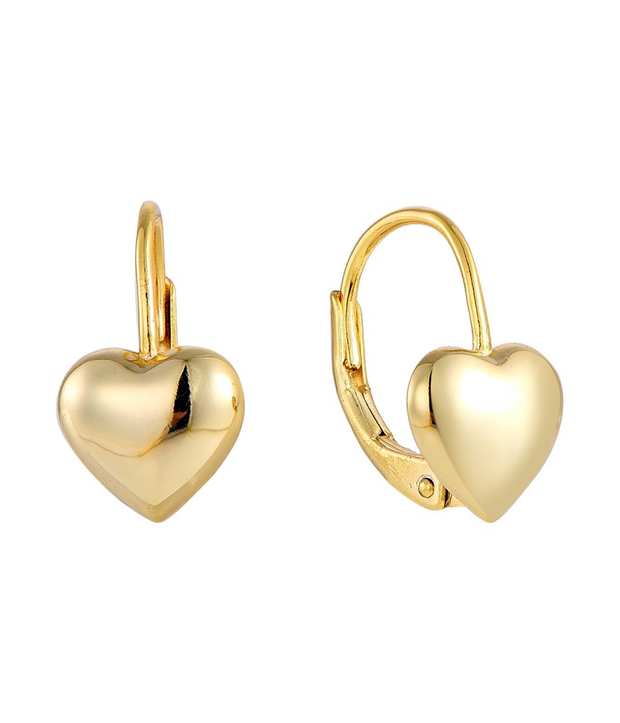 Gold Filled earrings-SE10182E