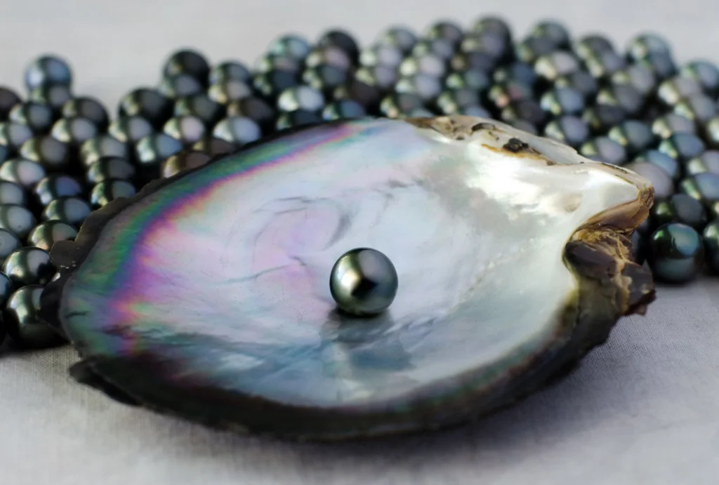 rare natural black Tahitian pearls